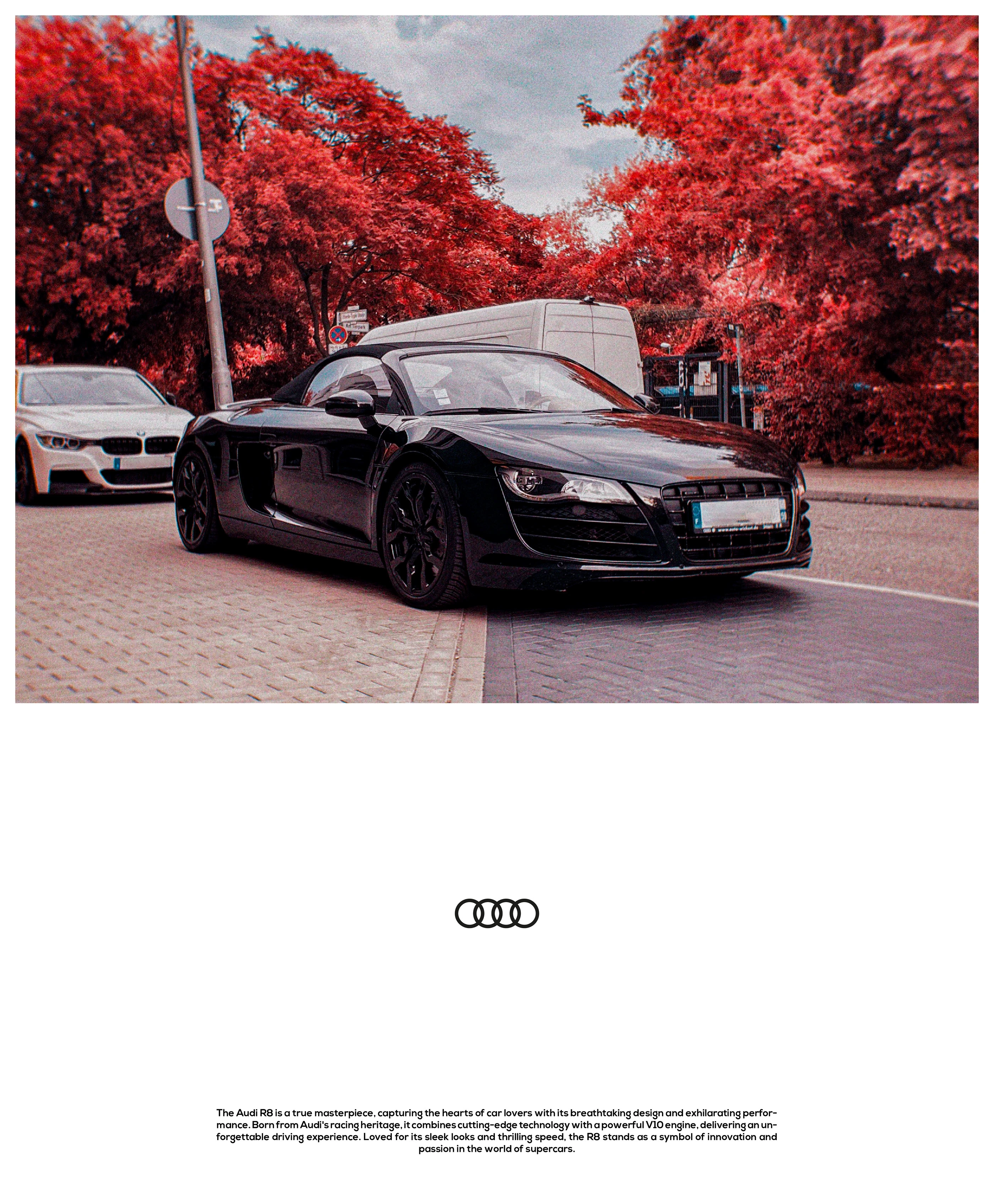 Smart Expense Logo Variation 1