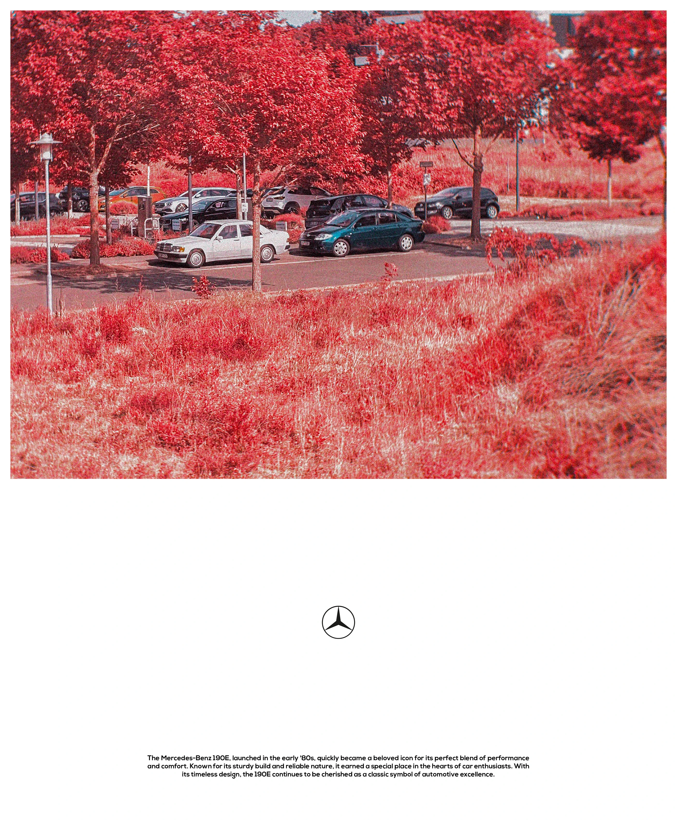 Smart Expense Logo Variation 2