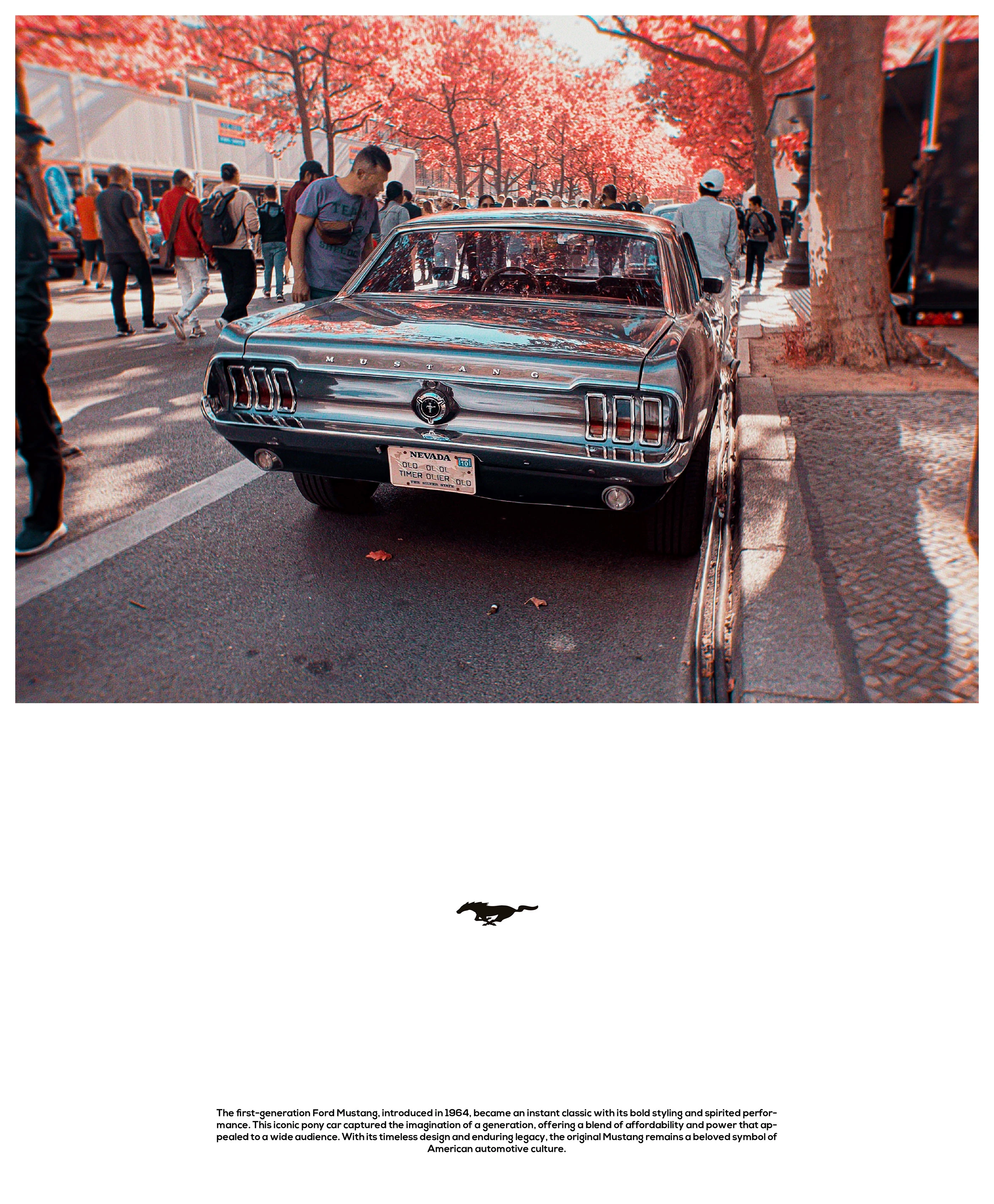 Smart Expense Logo Variation 2