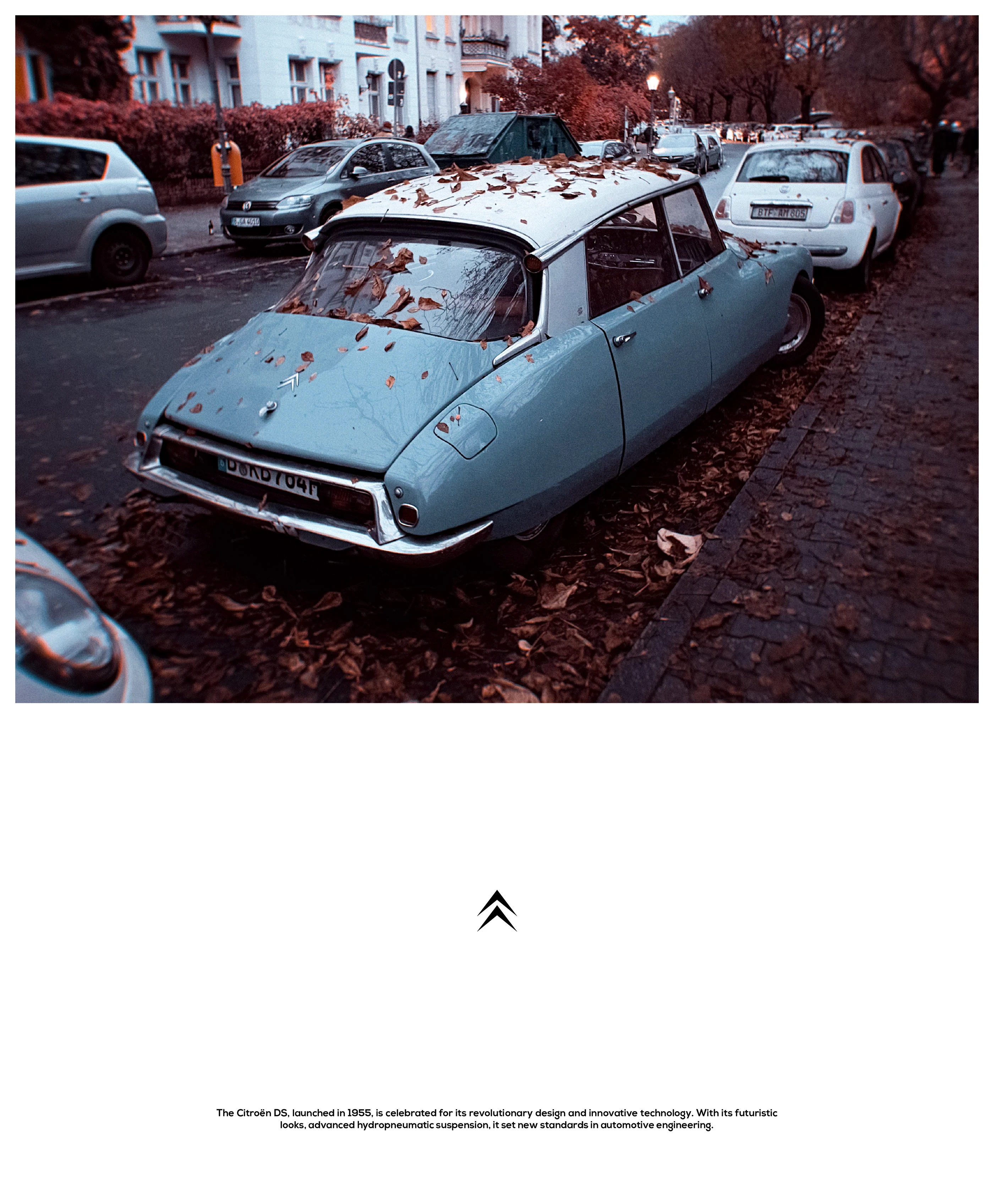 Smart Expense Logo Variation 1